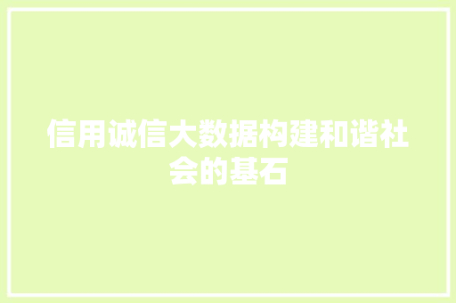 信用诚信大数据构建和谐社会的基石