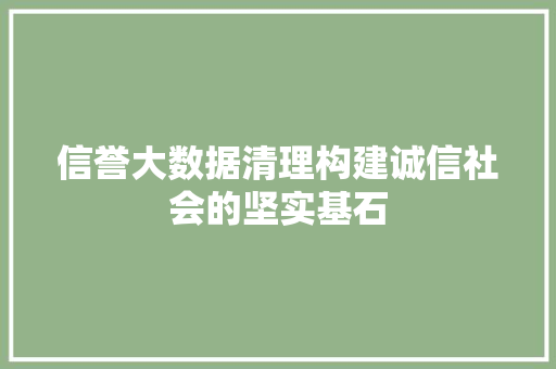 信誉大数据清理构建诚信社会的坚实基石