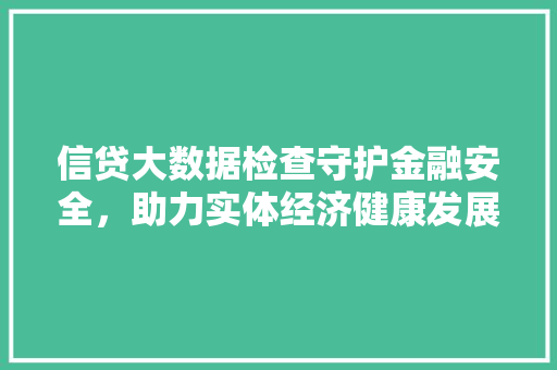 信贷大数据检查守护金融安全，助力实体经济健康发展