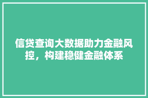 信贷查询大数据助力金融风控，构建稳健金融体系