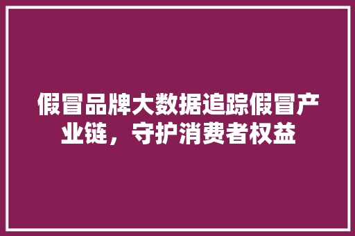 假冒品牌大数据追踪假冒产业链，守护消费者权益