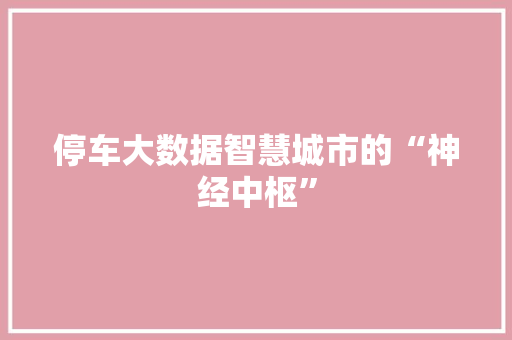 停车大数据智慧城市的“神经中枢”
