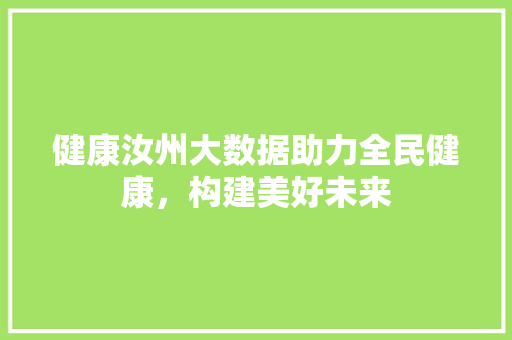健康汝州大数据助力全民健康，构建美好未来