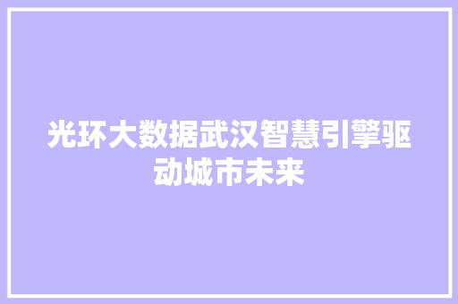 光环大数据武汉智慧引擎驱动城市未来