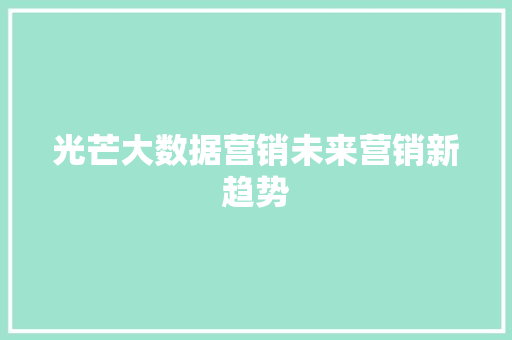 光芒大数据营销未来营销新趋势