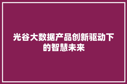 光谷大数据产品创新驱动下的智慧未来