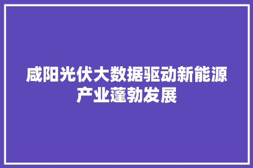 咸阳光伏大数据驱动新能源产业蓬勃发展