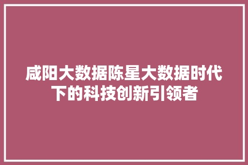 咸阳大数据陈星大数据时代下的科技创新引领者