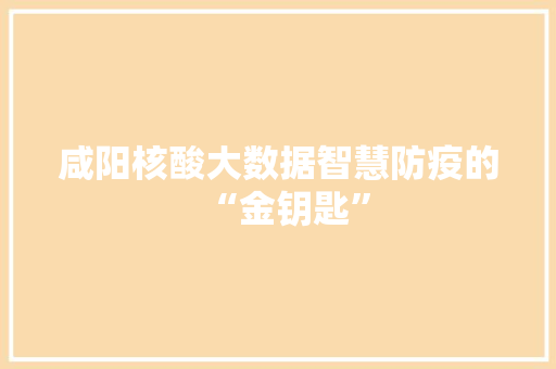 咸阳核酸大数据智慧防疫的“金钥匙”