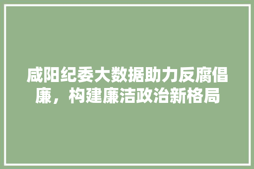 咸阳纪委大数据助力反腐倡廉，构建廉洁政治新格局