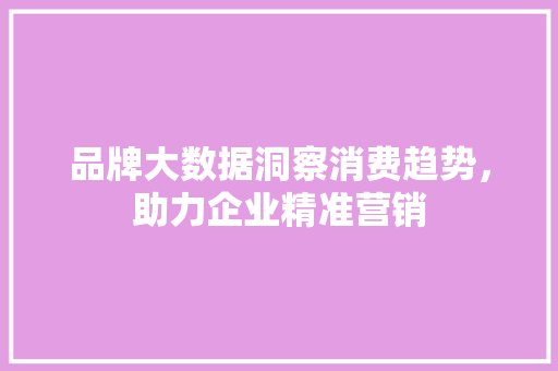 品牌大数据洞察消费趋势，助力企业精准营销