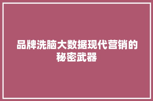 品牌洗脑大数据现代营销的秘密武器