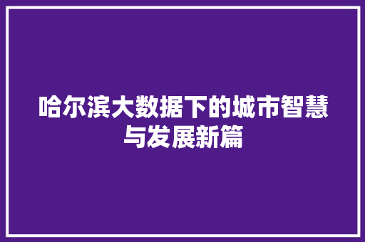 哈尔滨大数据下的城市智慧与发展新篇