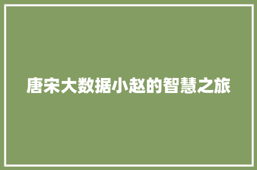 唐宋大数据小赵的智慧之旅
