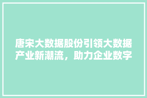 唐宋大数据股份引领大数据产业新潮流，助力企业数字化转型