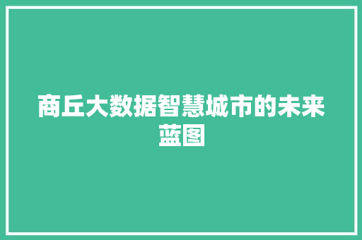 商丘大数据智慧城市的未来蓝图