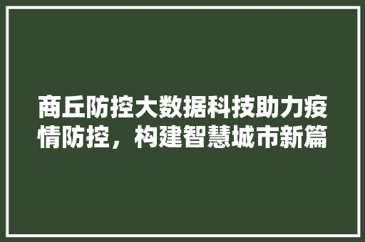 商丘防控大数据科技助力疫情防控，构建智慧城市新篇章