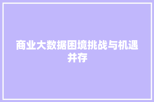 商业大数据困境挑战与机遇并存