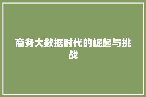 商务大数据时代的崛起与挑战