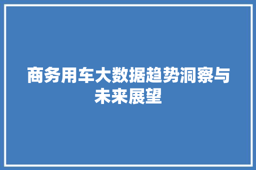 商务用车大数据趋势洞察与未来展望