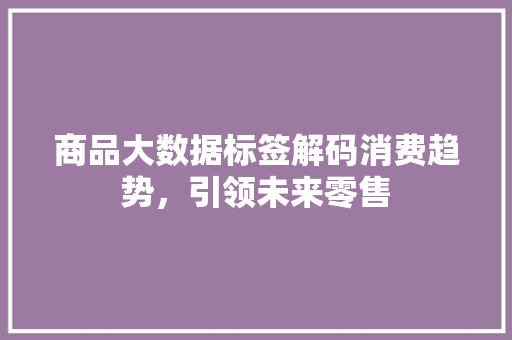 商品大数据标签解码消费趋势，引领未来零售
