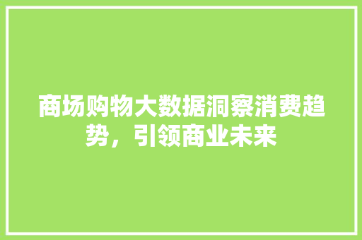 商场购物大数据洞察消费趋势，引领商业未来
