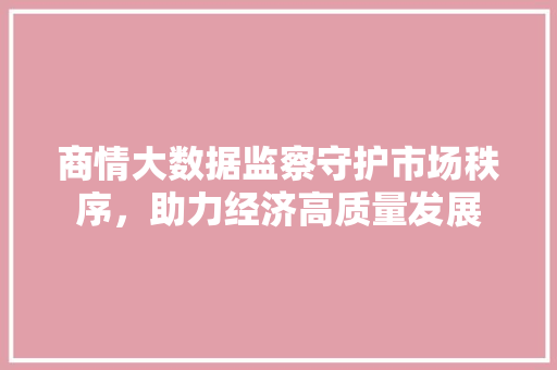 商情大数据监察守护市场秩序，助力经济高质量发展