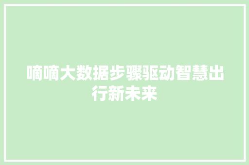 嘀嘀大数据步骤驱动智慧出行新未来