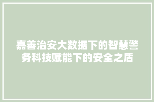嘉善治安大数据下的智慧警务科技赋能下的安全之盾 友链在线