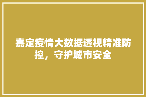 嘉定疫情大数据透视精准防控，守护城市安全