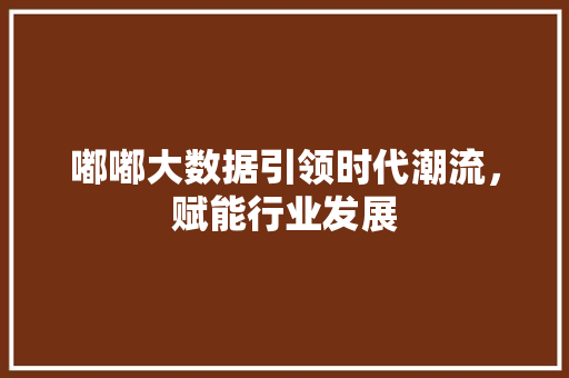 嘟嘟大数据引领时代潮流，赋能行业发展 SEO教程
