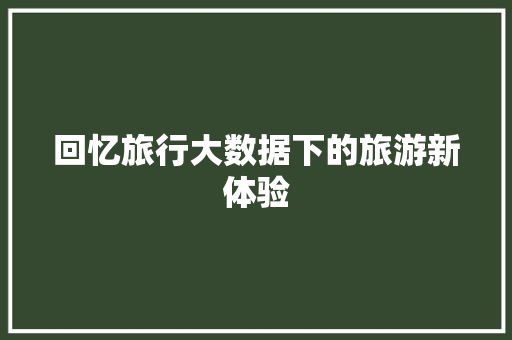 回忆旅行大数据下的旅游新体验 SEO教程