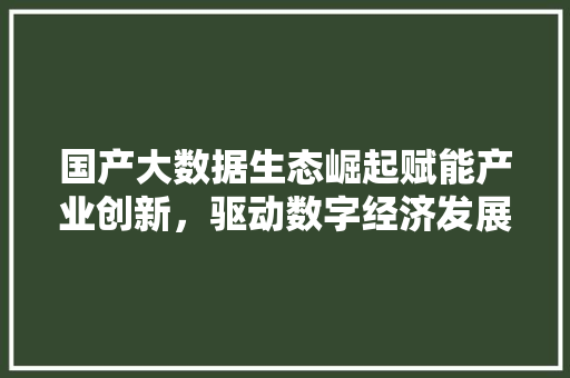国产大数据生态崛起赋能产业创新，驱动数字经济发展