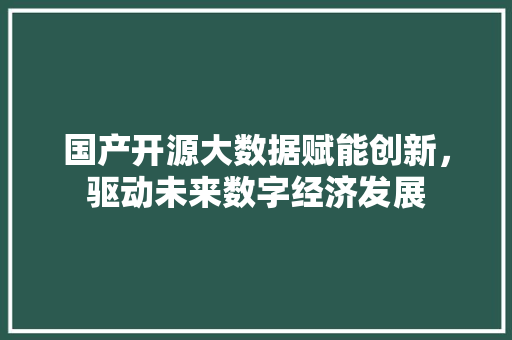 国产开源大数据赋能创新，驱动未来数字经济发展
