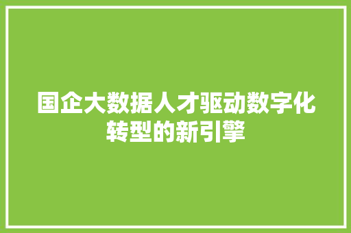国企大数据人才驱动数字化转型的新引擎