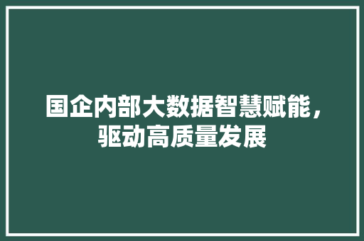国企内部大数据智慧赋能，驱动高质量发展 SEO教程