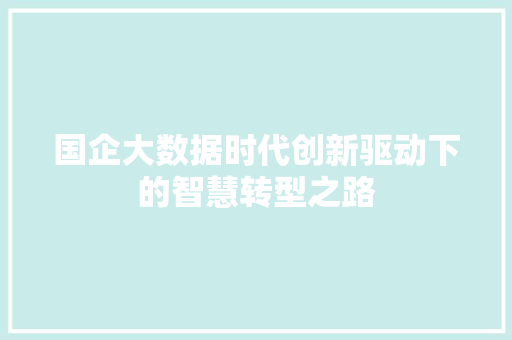 国企大数据时代创新驱动下的智慧转型之路 SEO教程