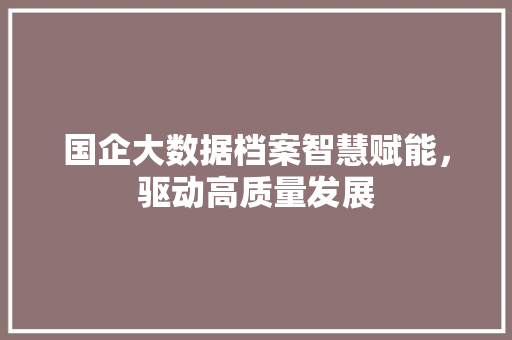 国企大数据档案智慧赋能，驱动高质量发展 服务器/数据库