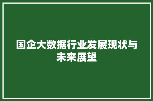 国企大数据行业发展现状与未来展望 SEO教程