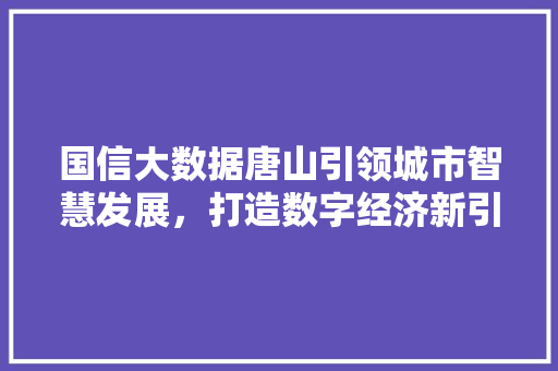 国信大数据唐山引领城市智慧发展，打造数字经济新引擎