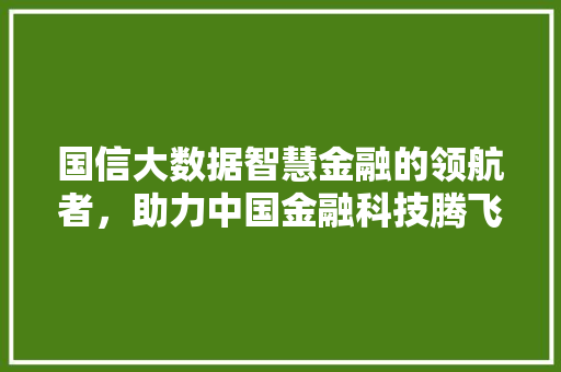 国信大数据智慧金融的领航者，助力中国金融科技腾飞