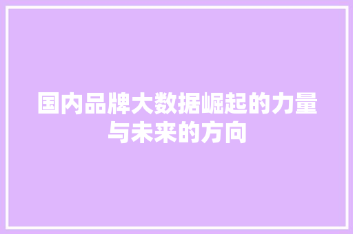 国内品牌大数据崛起的力量与未来的方向