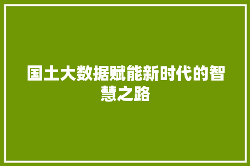 国土大数据赋能新时代的智慧之路