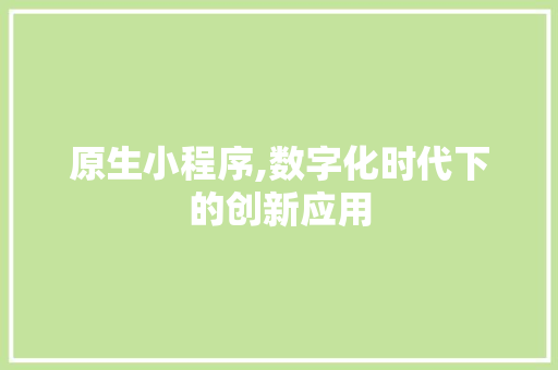 原生小程序,数字化时代下的创新应用