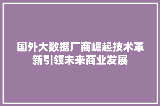 国外大数据厂商崛起技术革新引领未来商业发展