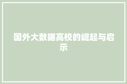 国外大数据高校的崛起与启示