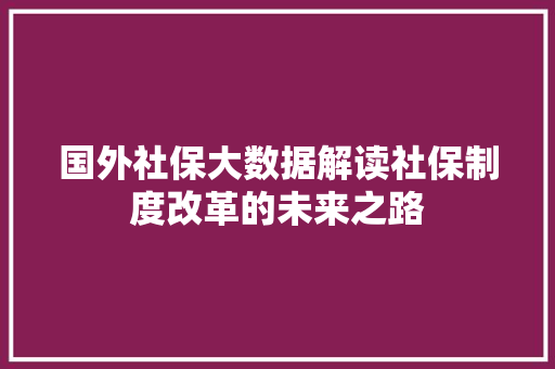 国外社保大数据解读社保制度改革的未来之路