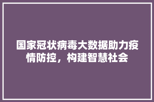 国家冠状病毒大数据助力疫情防控，构建智慧社会