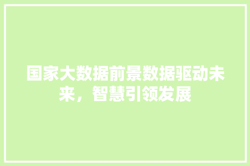国家大数据前景数据驱动未来，智慧引领发展