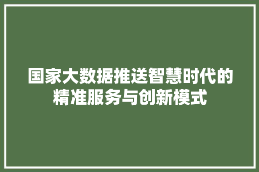 国家大数据推送智慧时代的精准服务与创新模式